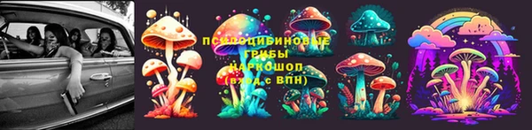 гидропоника Гусь-Хрустальный