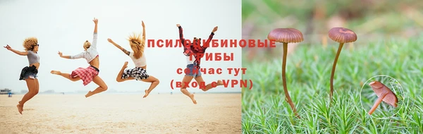 каннабис Гусиноозёрск