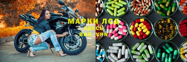 прущий лед Гусев