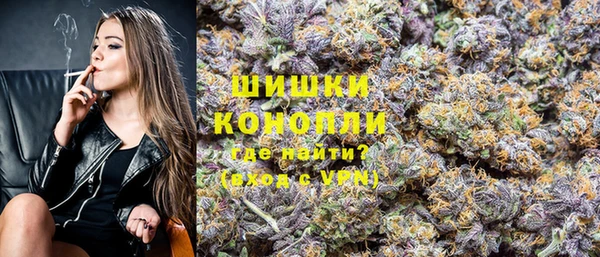 прущий лед Гусев