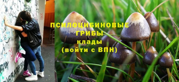прущий лед Гусев