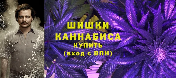 прущий лед Гусев